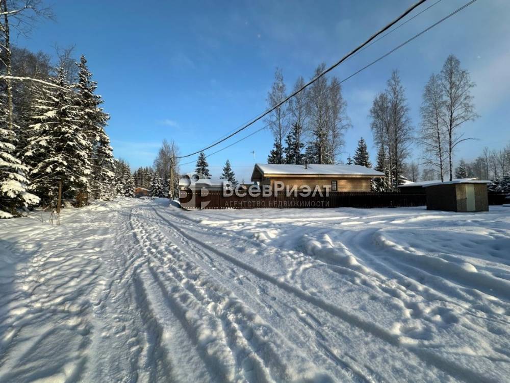 изображение whatsapp 2025-02-16 в 10.19.44_2c0bd59a