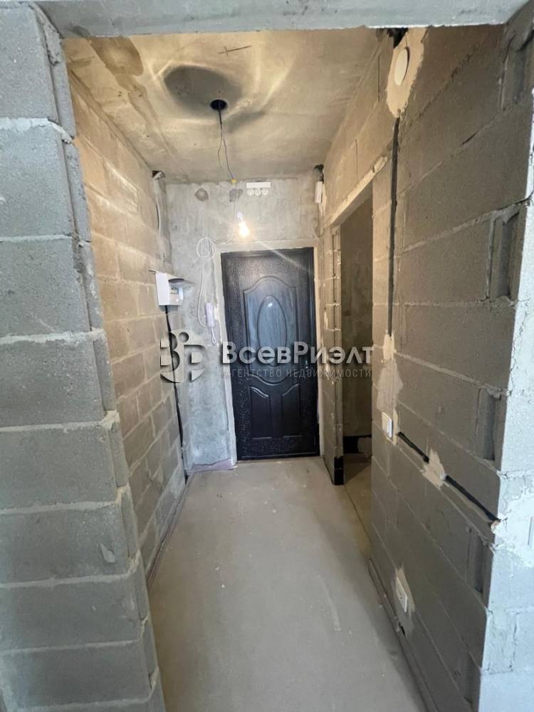 изображение whatsapp 2025-10-10 в 14.55.50_fbd9a751