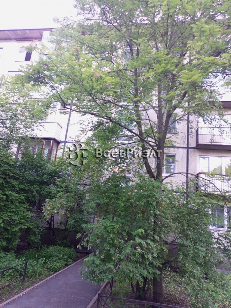 img_20230607_205035_027 (1)