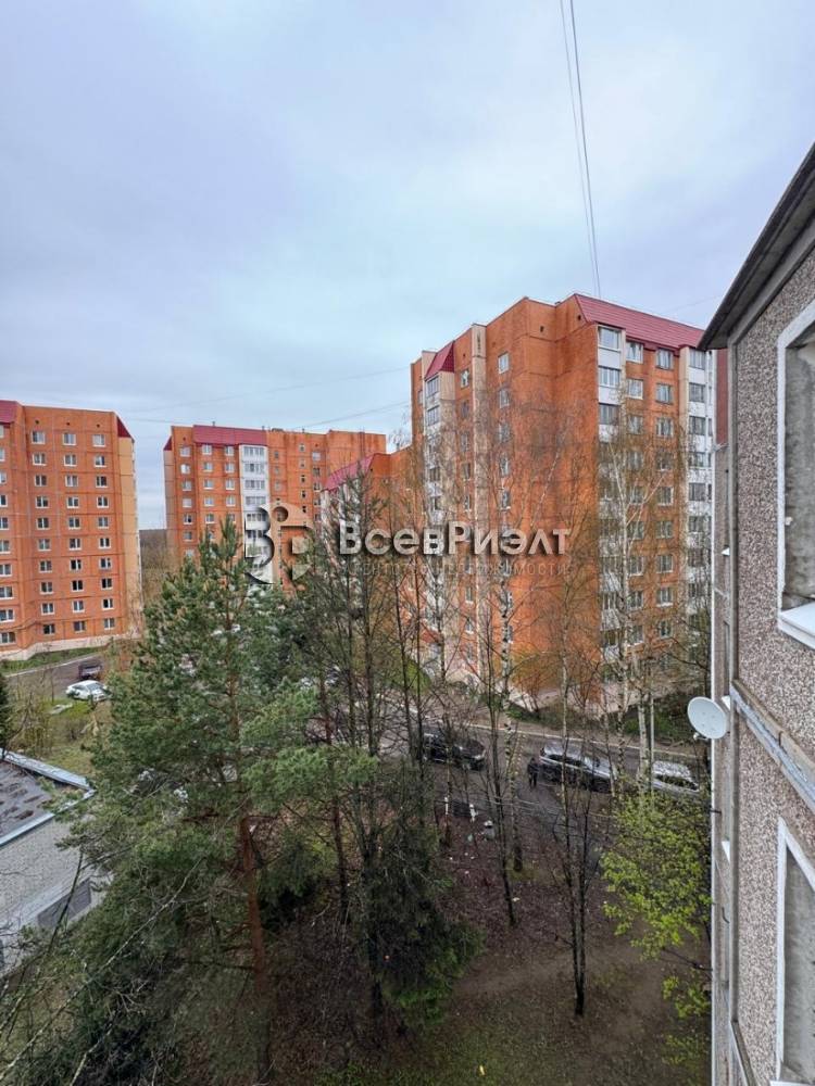 23изображение whatsapp 2025-04-28 в 11.44.48_faea77b2