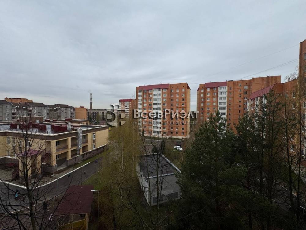 24изображение whatsapp 2025-04-28 в 11.44.48_fa063f83
