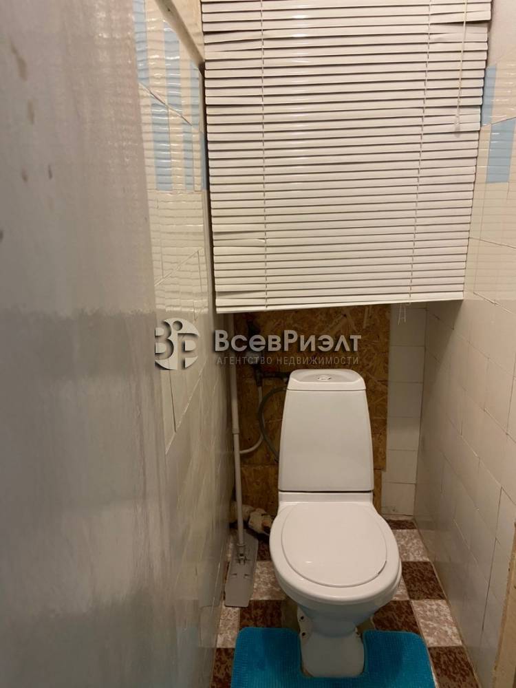 23изображение whatsapp 2025-10-06 в 17.47.49_a2562507