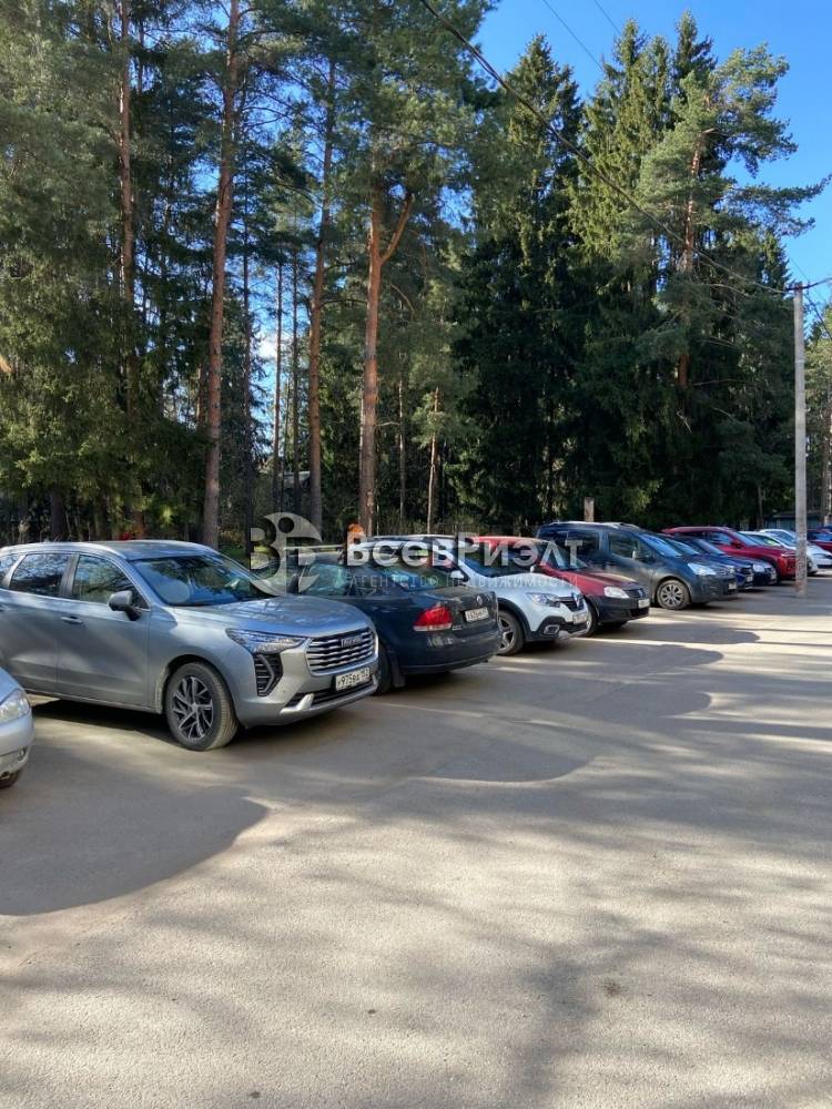 24изображение whatsapp 2025-04-28 в 10.23.44_0a7d5c8e