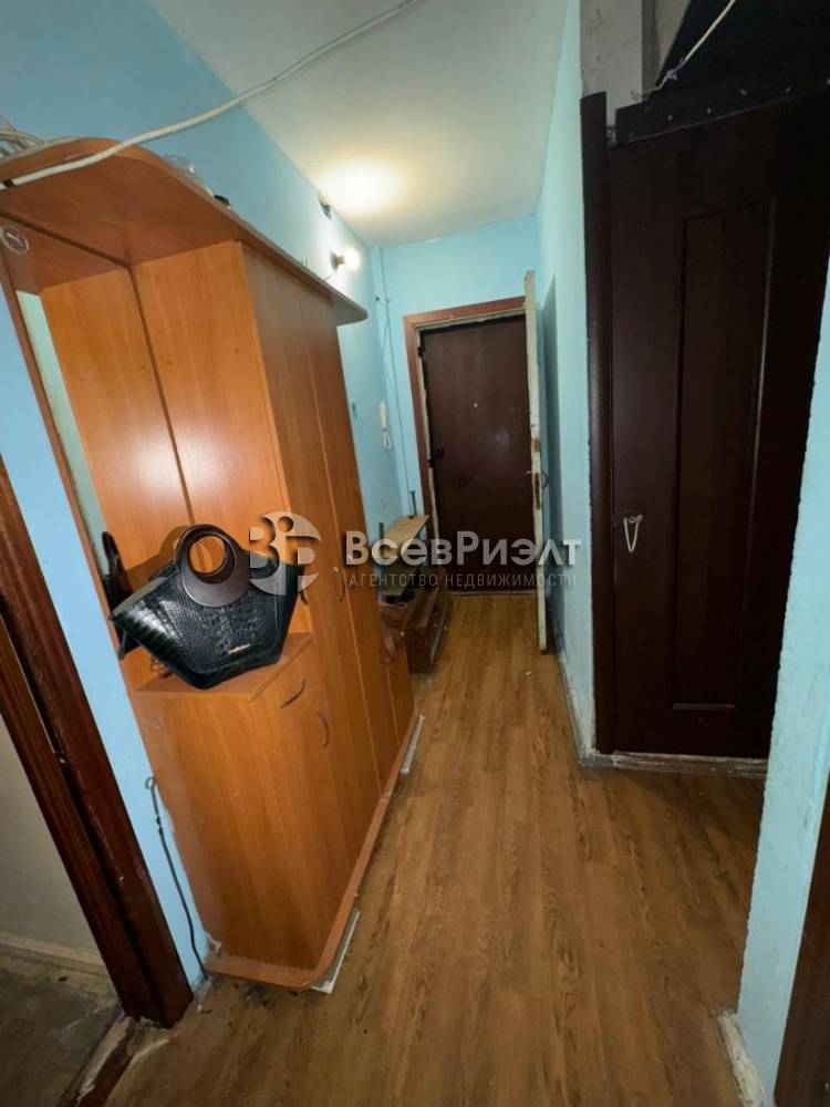 1изображение whatsapp 2025-05-07 в 16.16.14_8bf35796