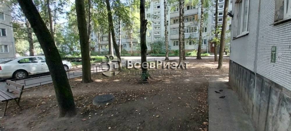 14изображение whatsapp 2025-05-07 в 16.42.19_374c9ee2