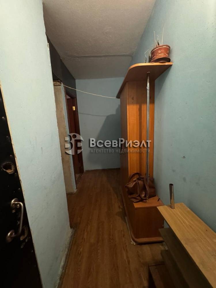 3изображение whatsapp 2025-05-07 в 16.16.14_f62b4362
