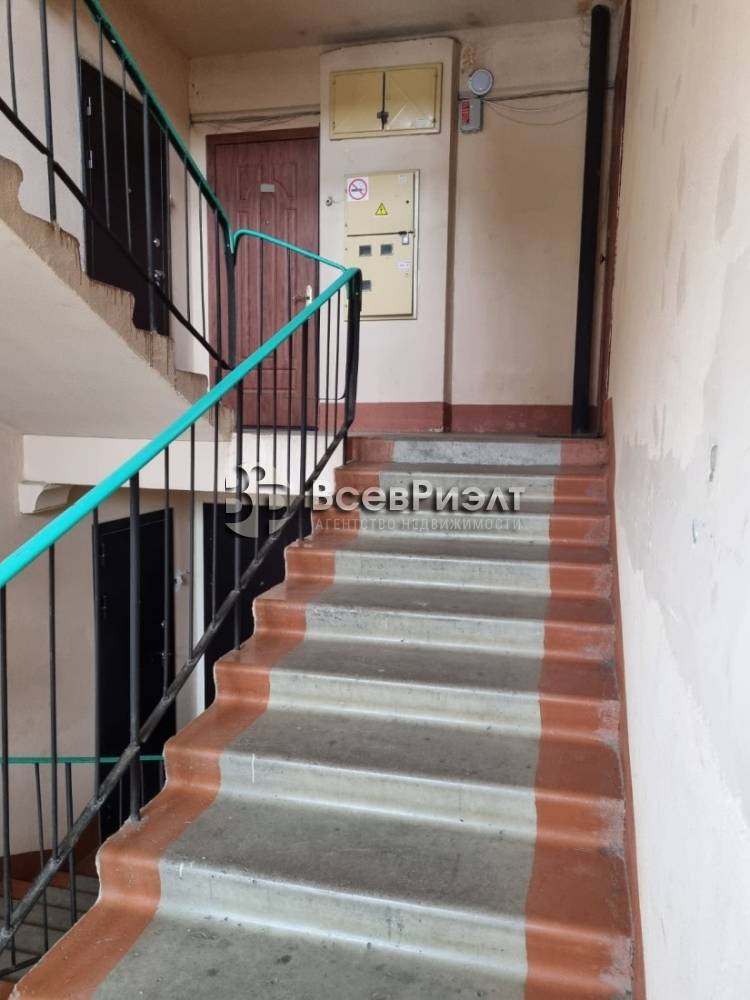2изображение whatsapp 2025-05-19 в 18.01.16_5e32a1f4