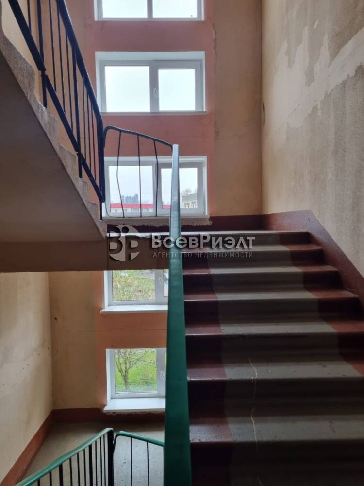 3изображение whatsapp 2025-05-19 в 18.01.17_9547be2a