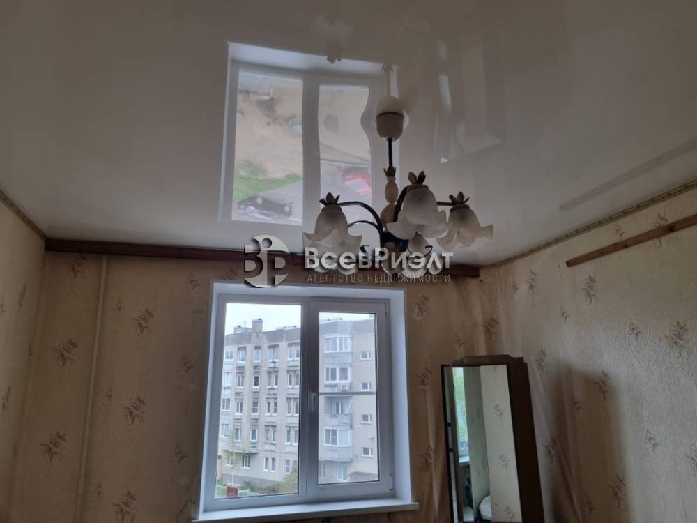 8изображение whatsapp 2025-05-19 в 18.01.19_cf479d7d