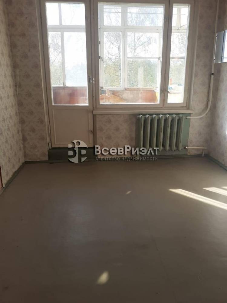 3изображение whatsapp 2025-06-03 в 12.12.21_613d1e88