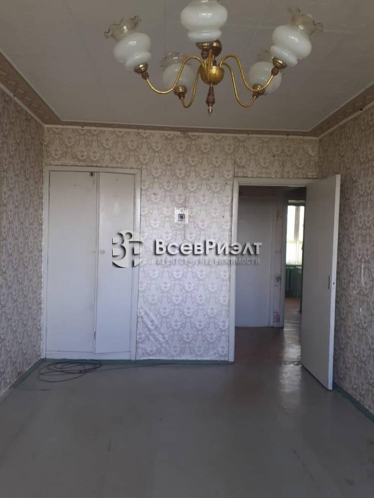 5изображение whatsapp 2025-06-03 в 12.12.31_37e1b06e