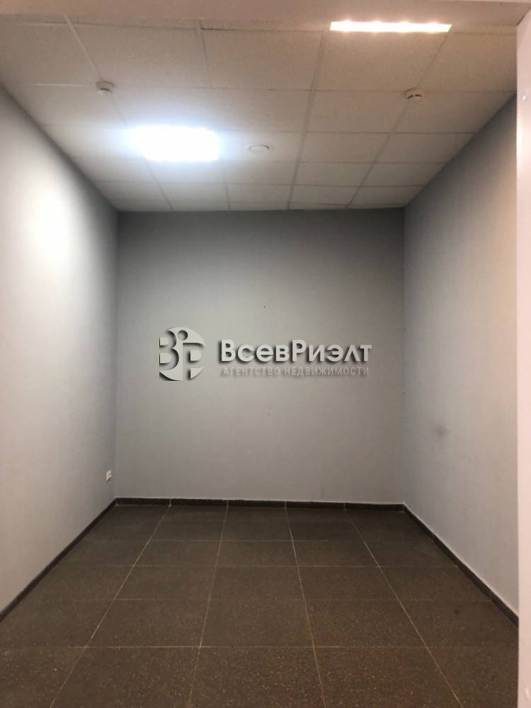 2изображение whatsapp 2025-04-16 в 16.14.34_7fb150b7