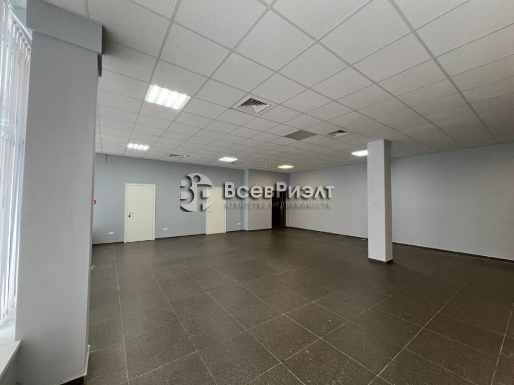 7изображение whatsapp 2025-04-16 в 16.14.36_0951929c