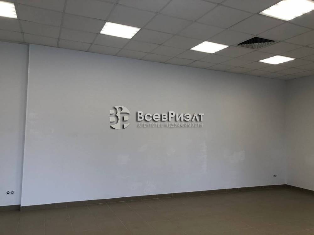 12изображение whatsapp 2025-04-16 в 16.14.37_5f7247d5