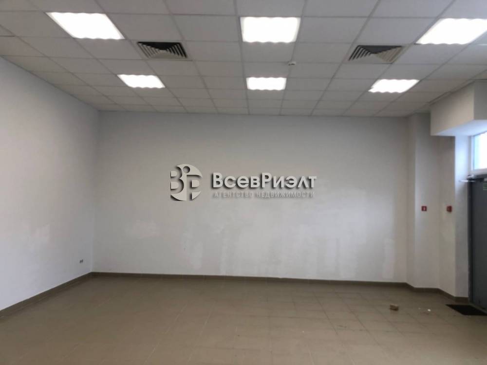 13изображение whatsapp 2025-04-16 в 16.14.38_f3151c24