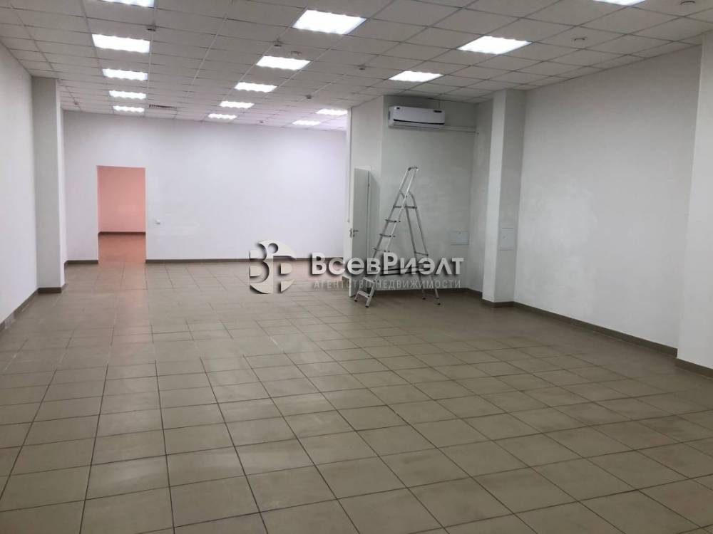 15изображение whatsapp 2025-04-16 в 16.14.38_4347641c