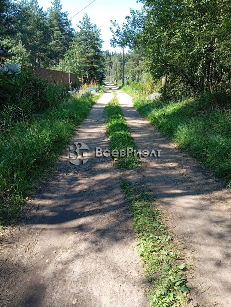 11изображение whatsapp 2025-08-04 в 14.26.08_4cce37d4