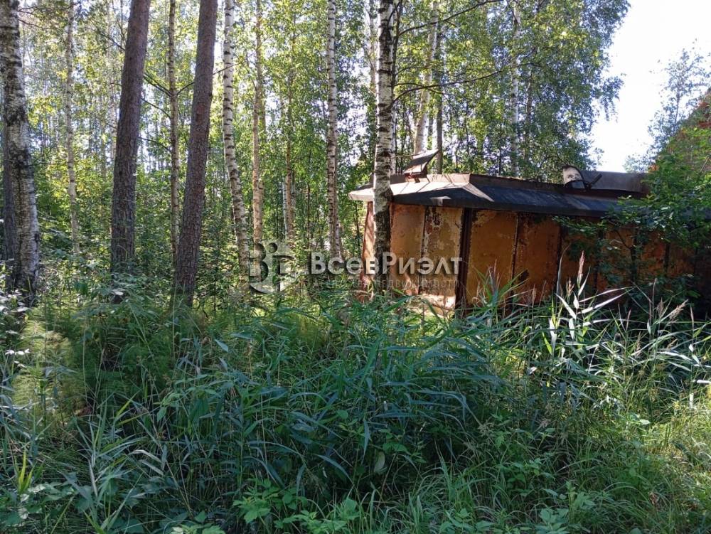 10изображение whatsapp 2025-08-04 в 14.26.08_ce793f1d