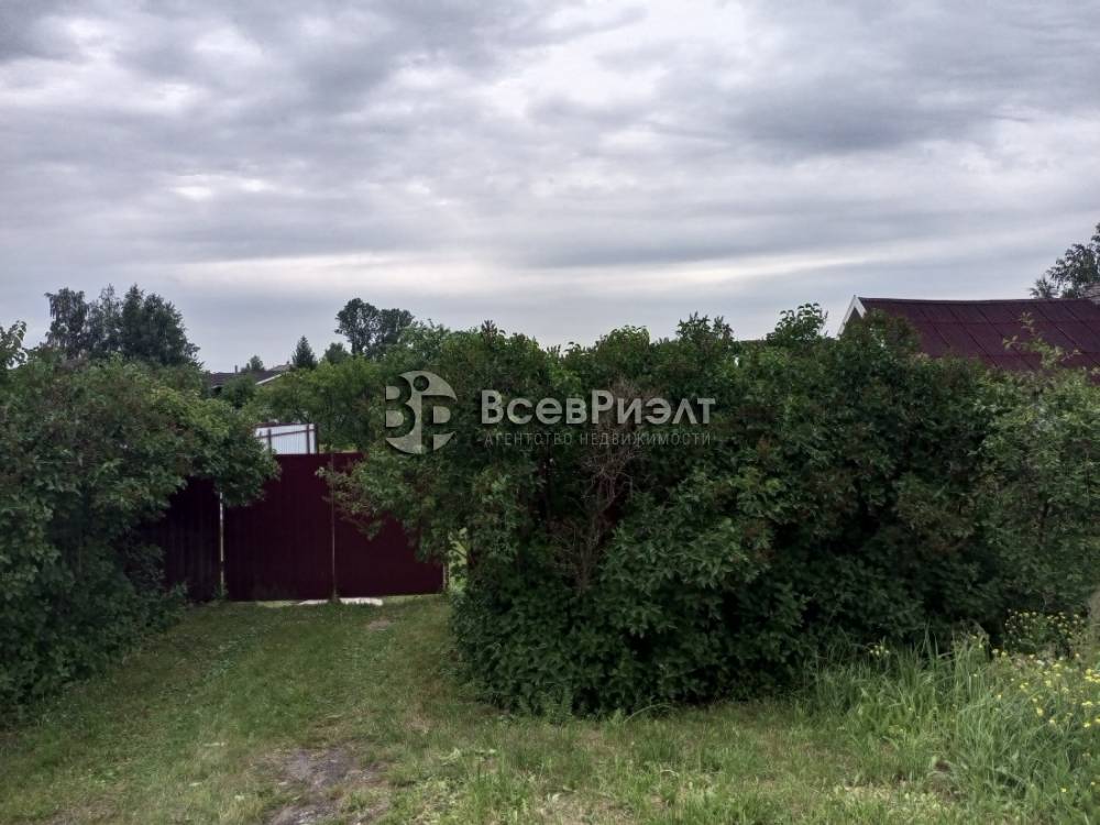 img_20240702_154819_484