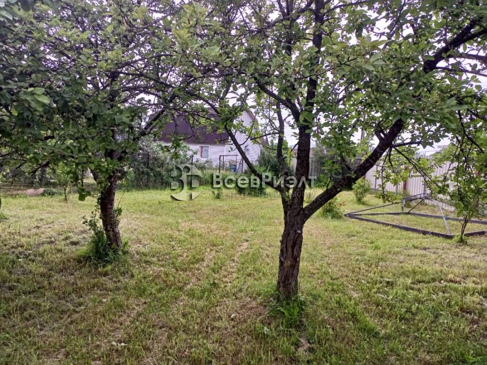 img_20240702_153946_836