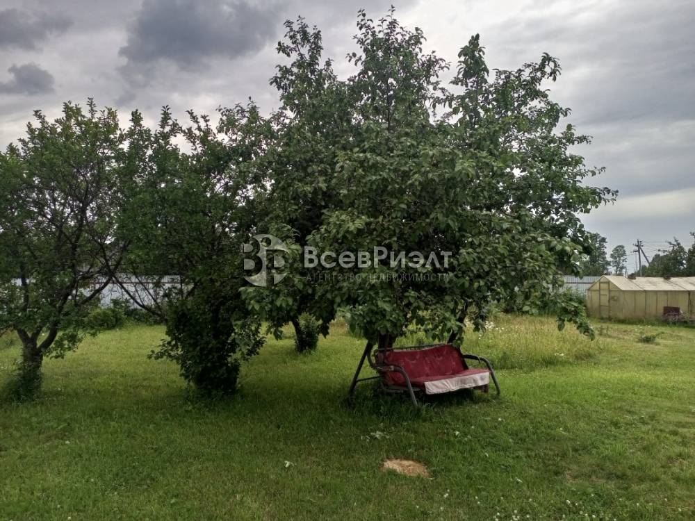 img_20240702_154145_007