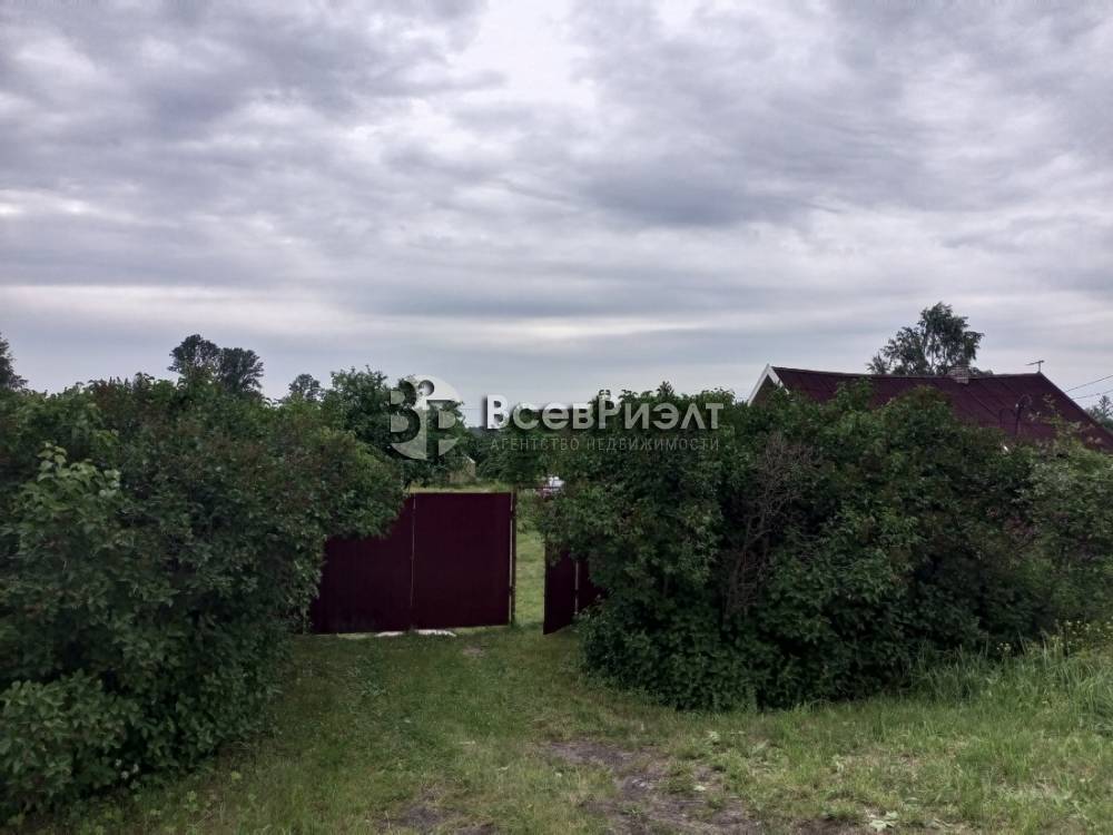 img_20240702_154827_493