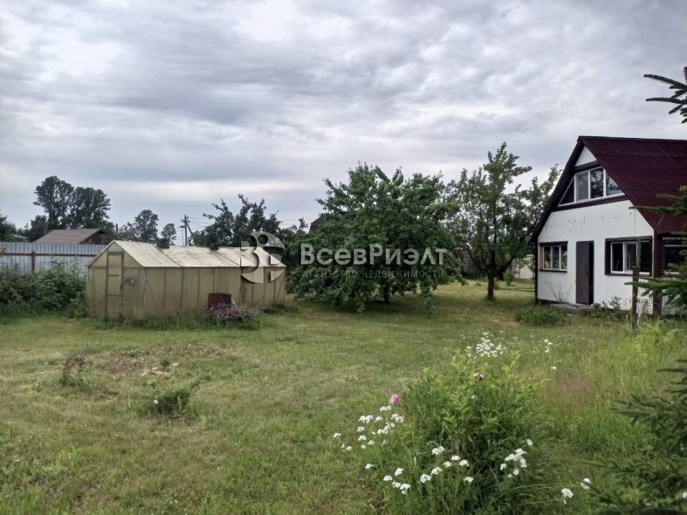 img_20240702_154055_997