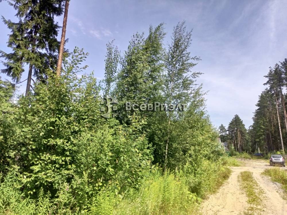 img_20250721_124643_057