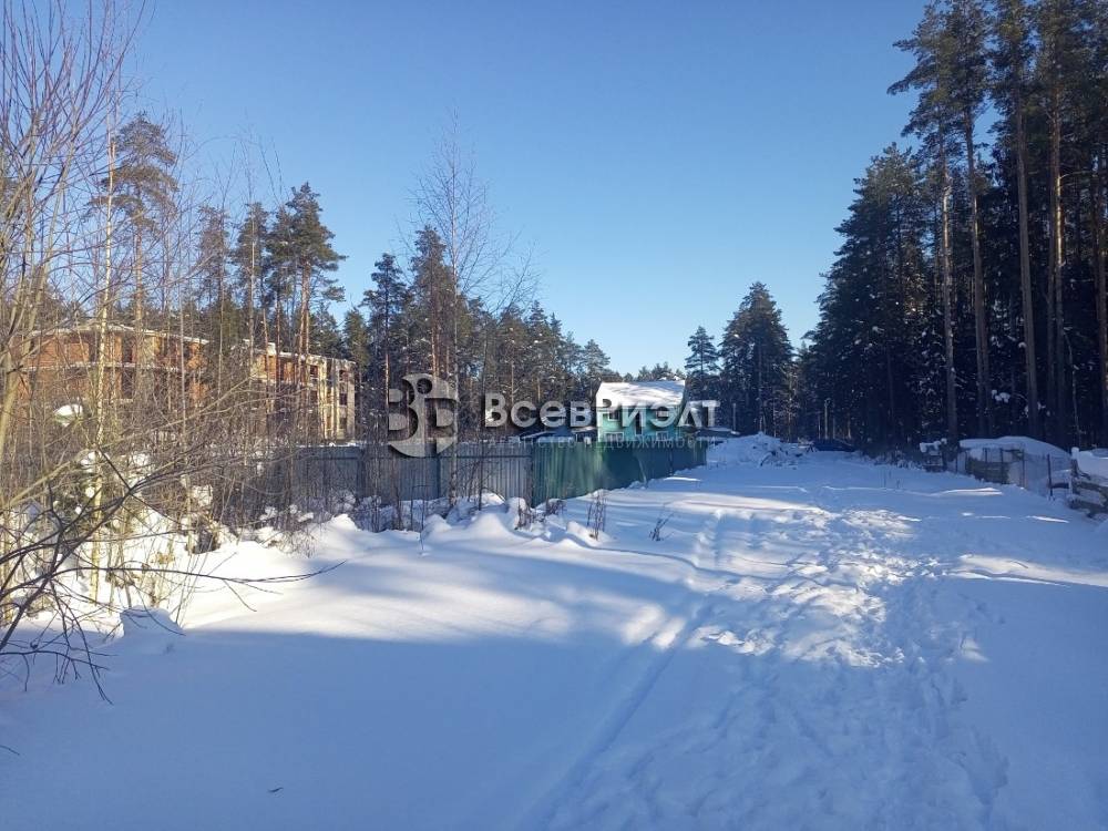 img_20260215_120642_189