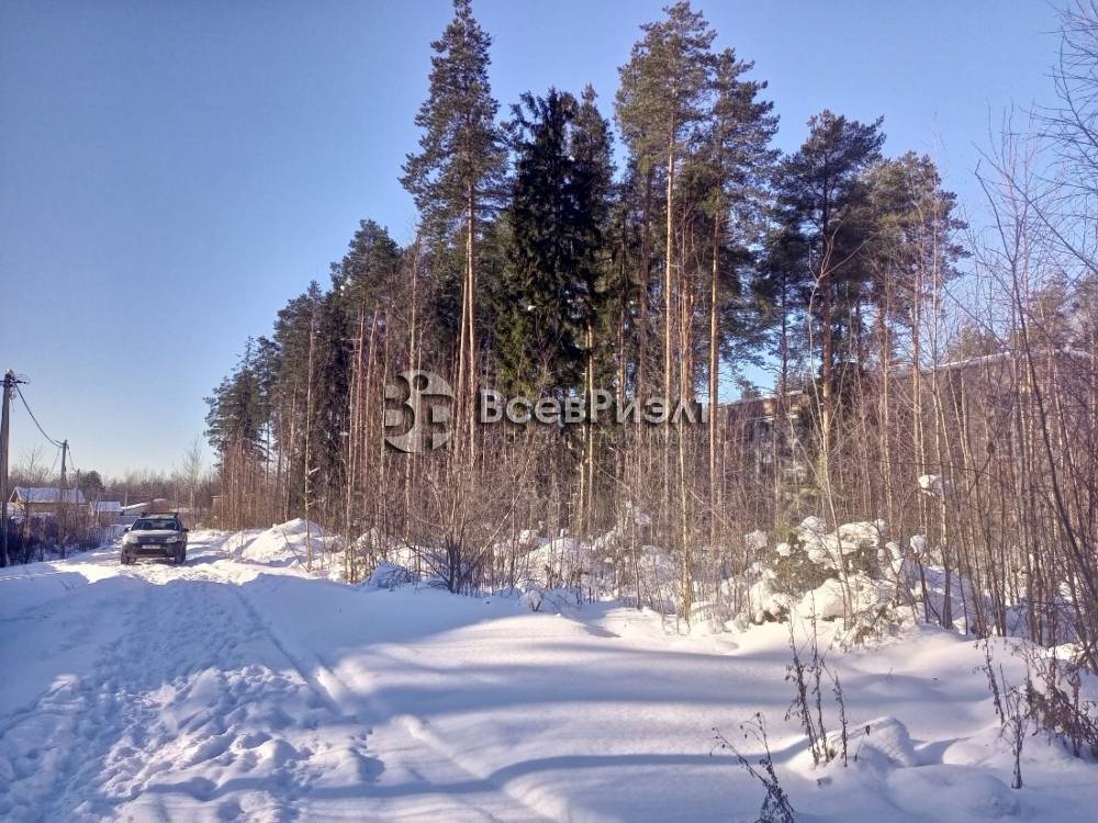 img_20260215_120710_247