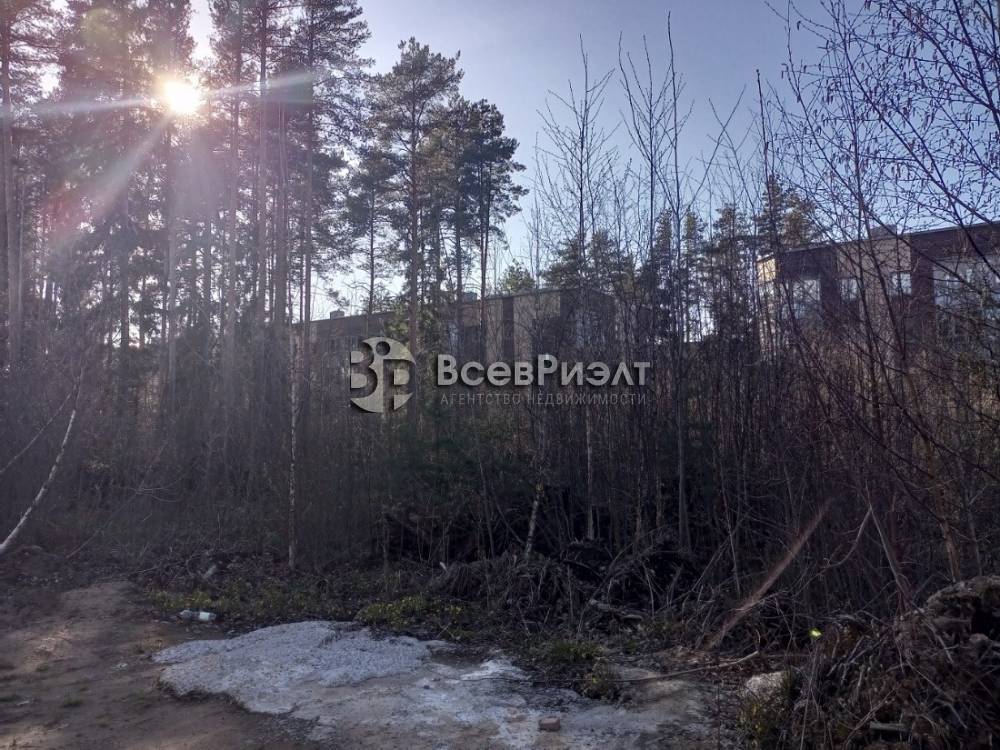 img_20250430_173448_937 (1)