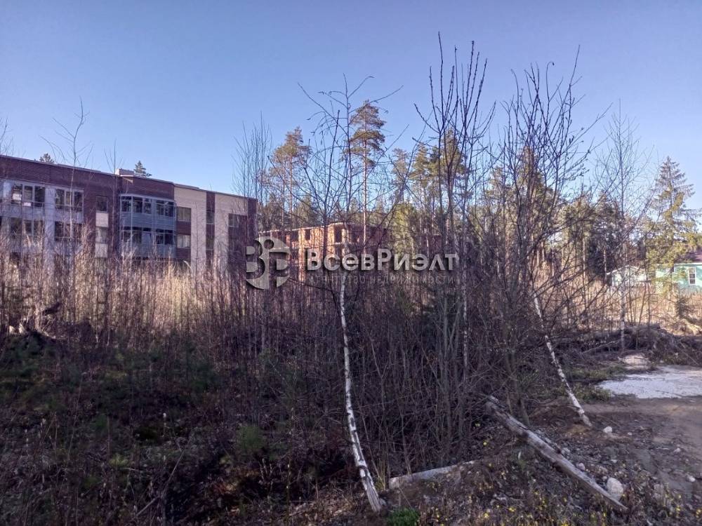 img_20250430_173508_111 (1)