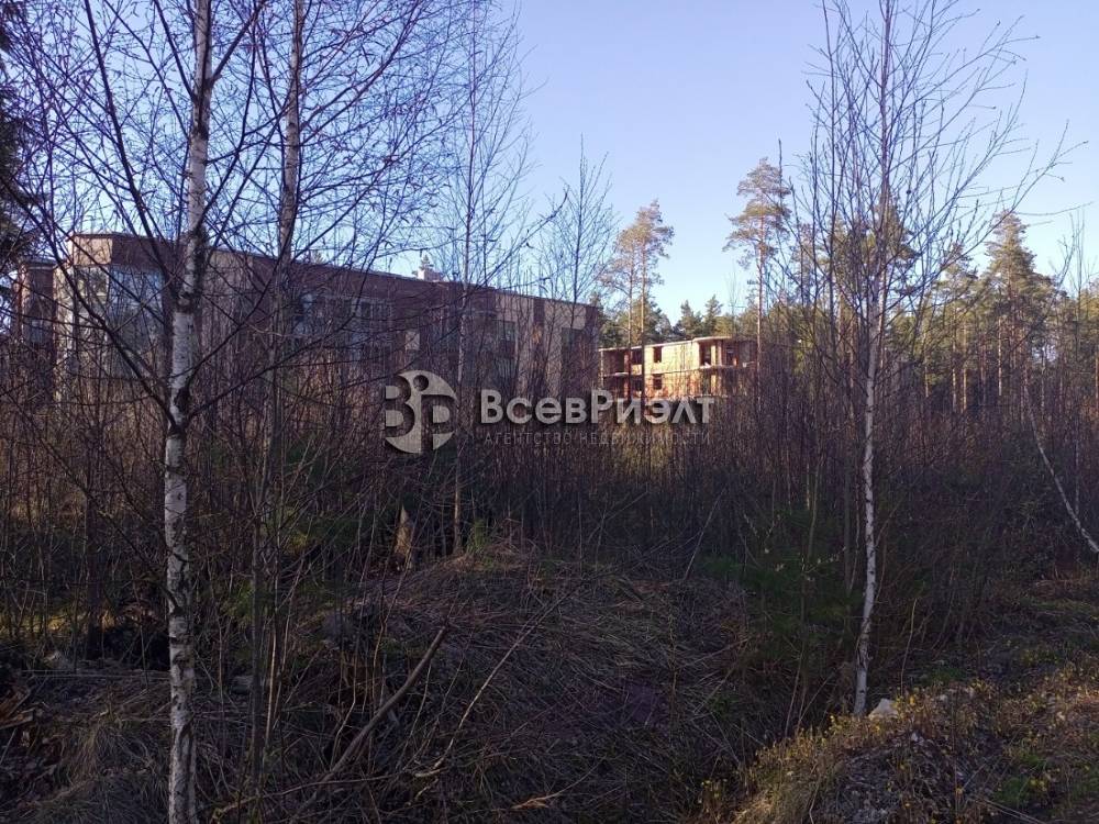 img_20250430_173529_104 (1)