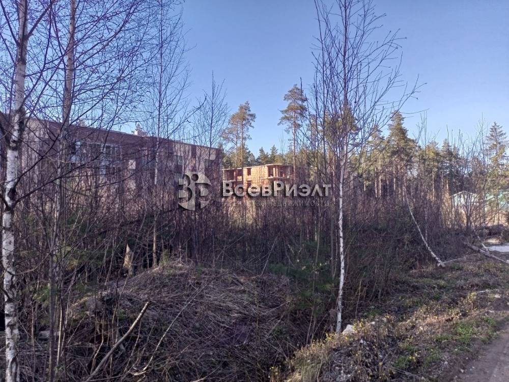 img_20250430_173530_976