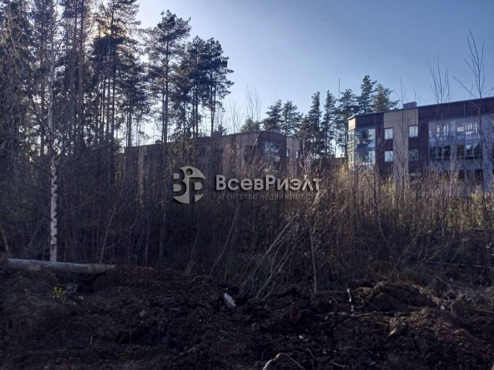 img_20250430_173559_930