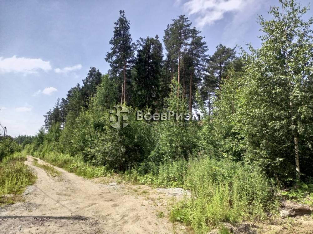 img_20250721_124528_309