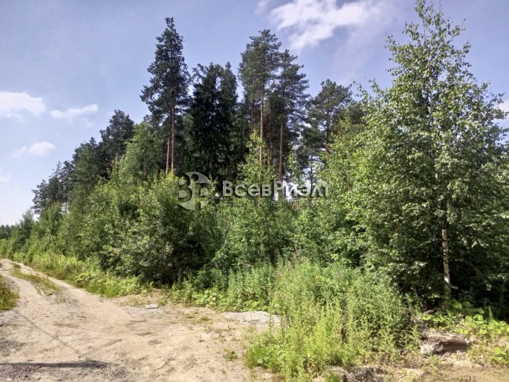 img_20250721_124527_085