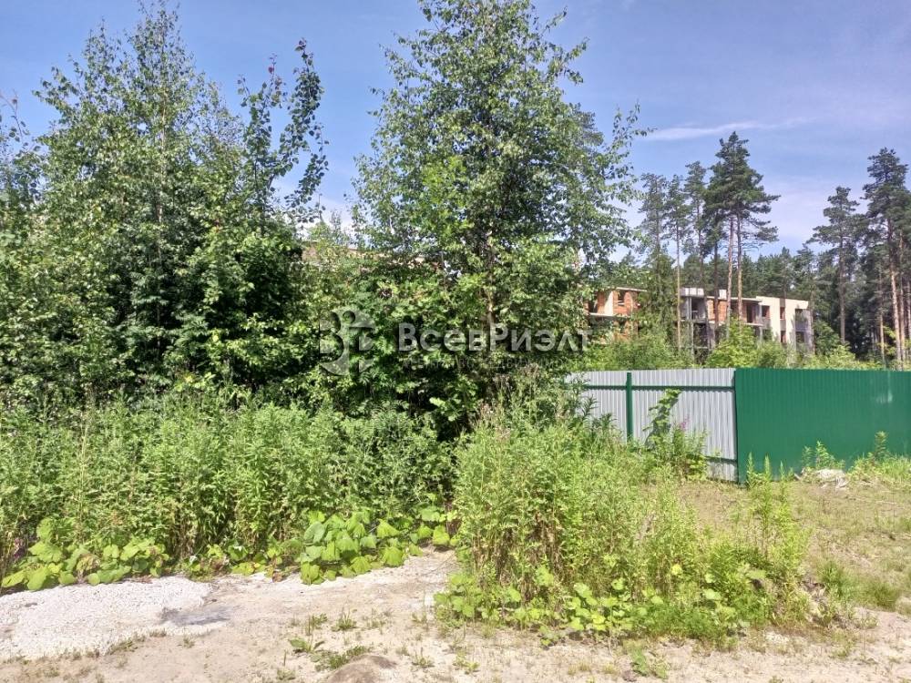 img_20250721_124541_355