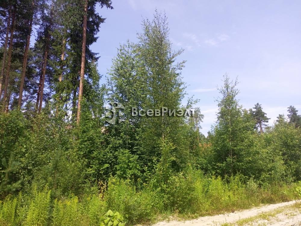 img_20250721_124626_905