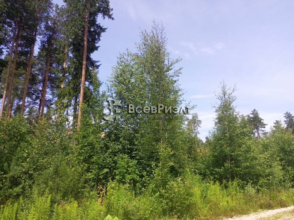 img_20250721_124628_006