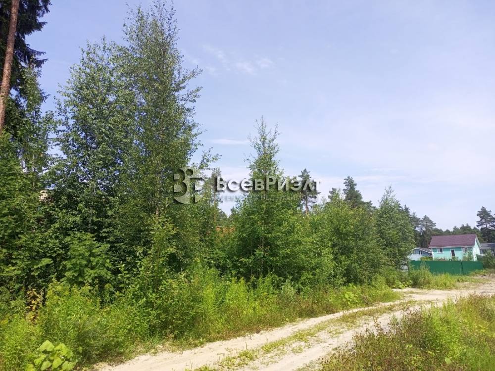 img_20250721_124629_668