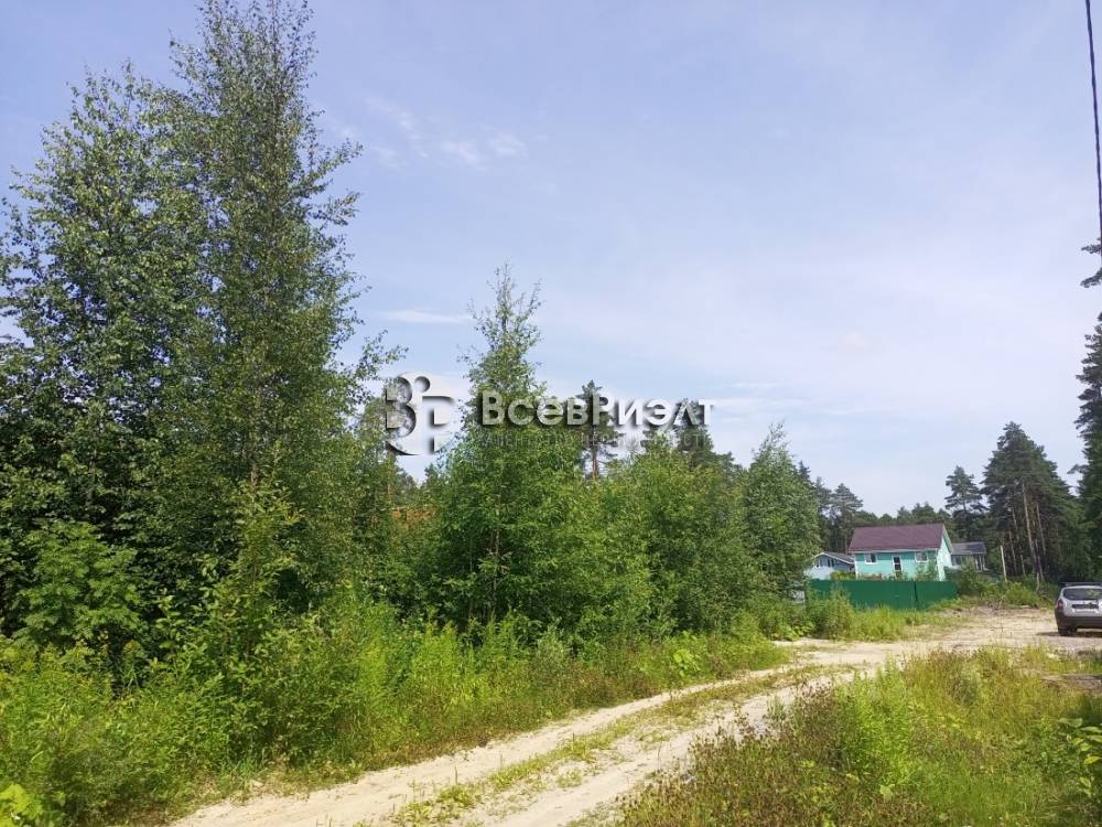 img_20250721_124630_585