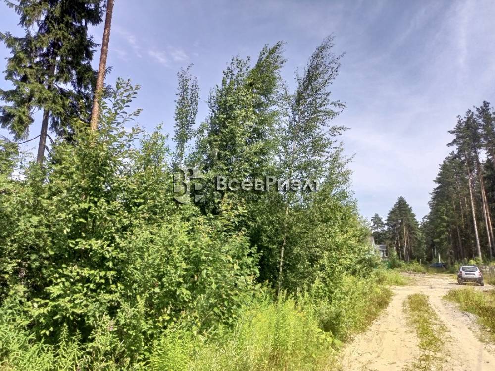 img_20250721_124644_043