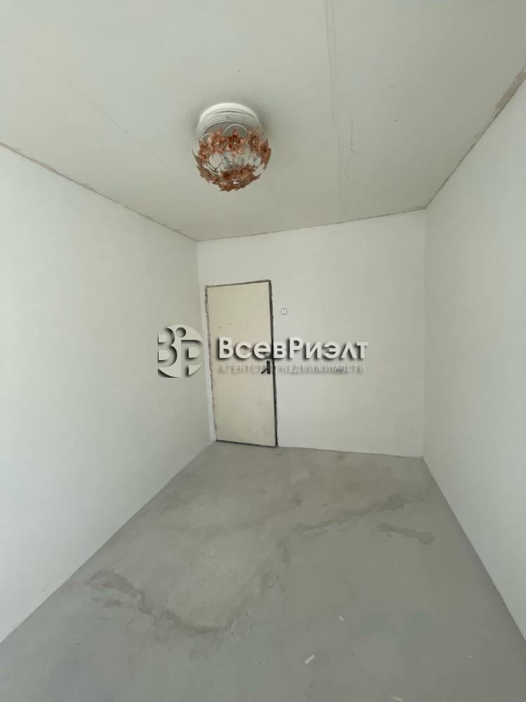 6изображение whatsapp 2025-03-26 в 14.41.28_0e8c5bee