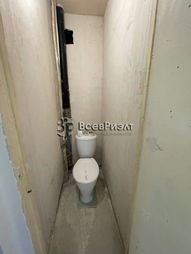 9изображение whatsapp 2025-03-26 в 14.41.28_6eb52cef