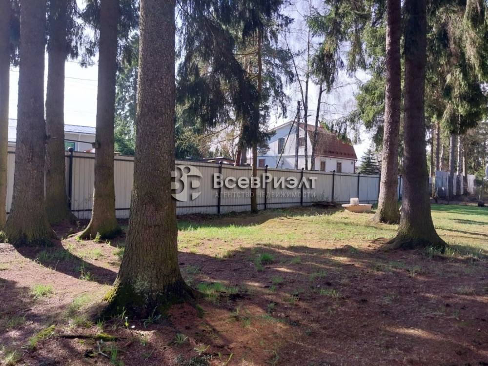 2изображение whatsapp 2025-04-23 в 18.44.19_80bea926