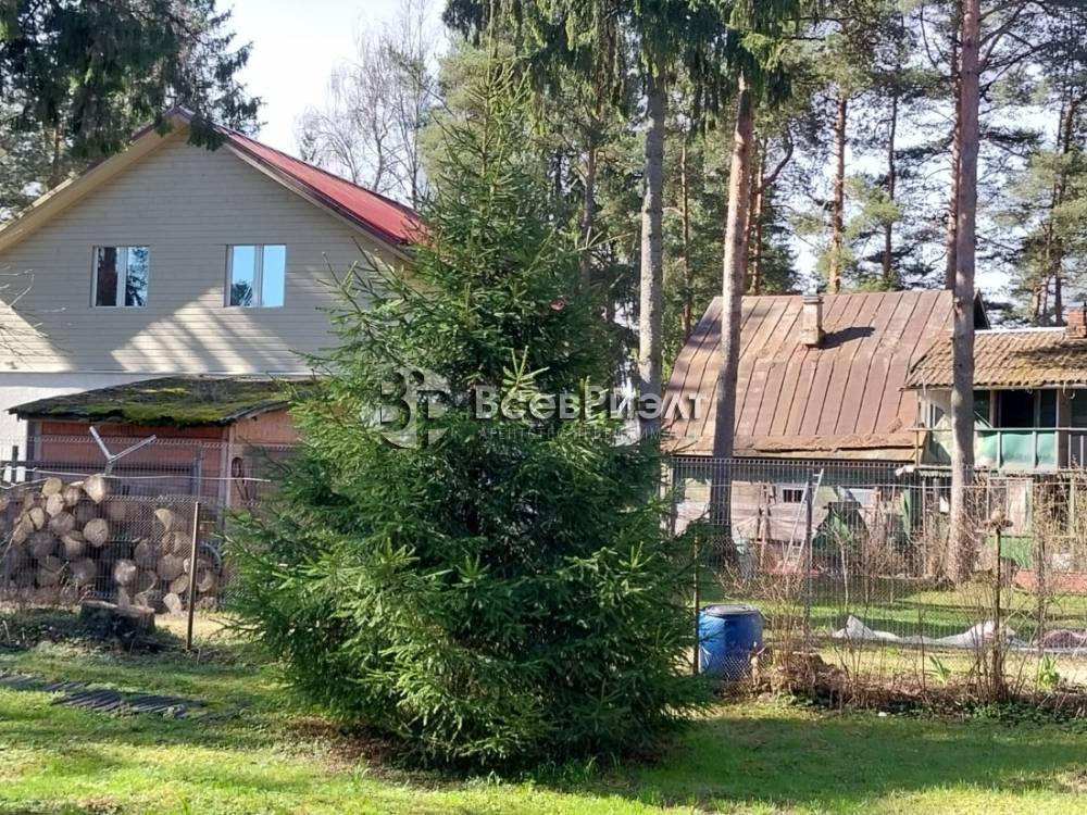 12изображение whatsapp 2025-04-23 в 18.45.16_83aead01