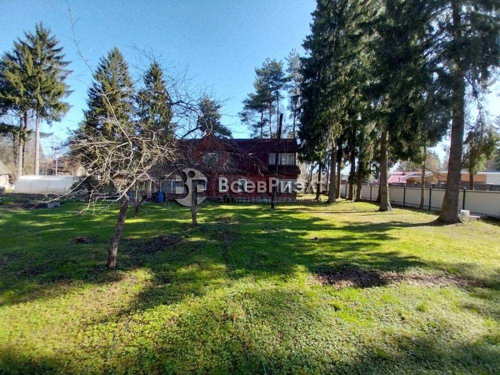 17изображение whatsapp 2025-04-23 в 18.45.17_9ec5efb6