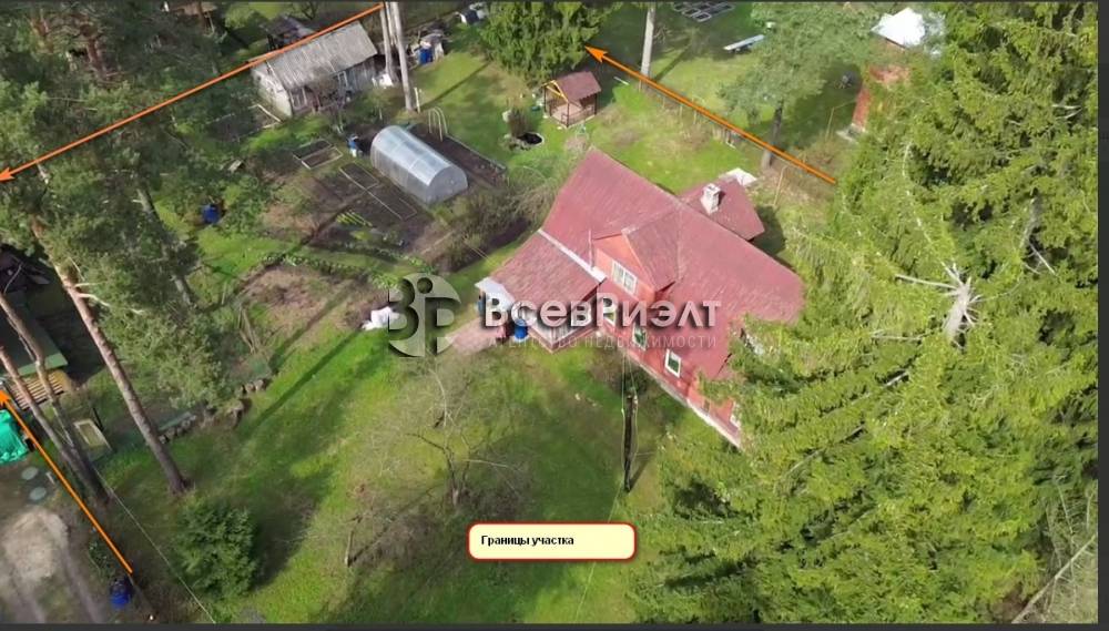 101изображение whatsapp 2025-04-25 в 19.13.58_c215fbfc