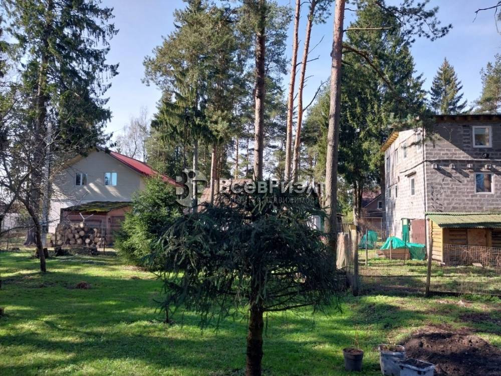 10изображение whatsapp 2025-04-23 в 18.45.16_a49f04fd